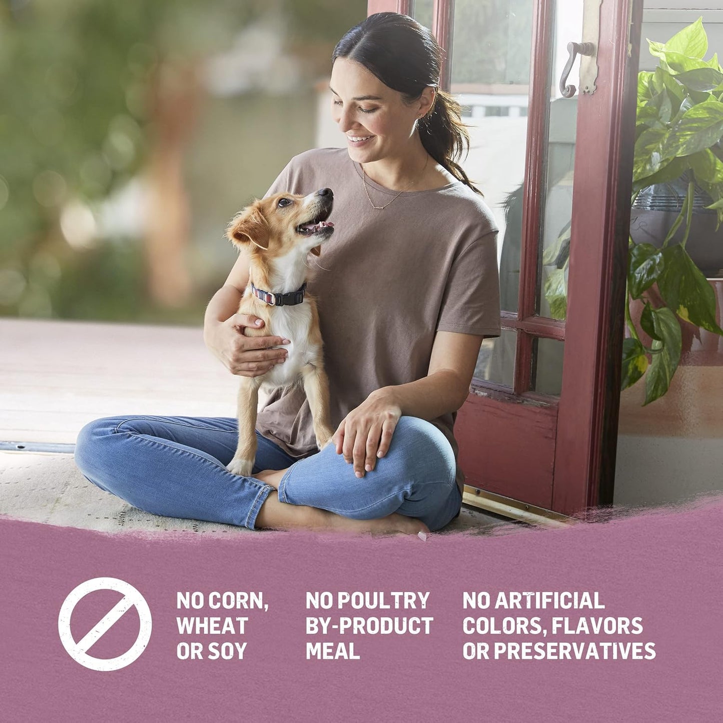 Purina High Protein Small Breed Adult Dry Dog Food, Organic Chicken, Egg & Carrot Recipe - 3 Lb. Bag