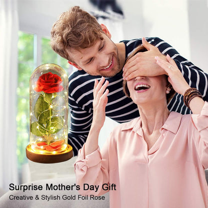 Mothers'Day Gifts for Mom,Beauty and the Beast Rose,Red Rose in Glass Dome with Lights,Mothers Day Flower Gifts for Women Mom Wife Girlfriend on Mothers Day,Anniversary,Birthday Gift for Women